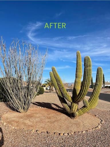 Decorative Rock for A to Z Grounds Keeping in Sierra Vista, AZ