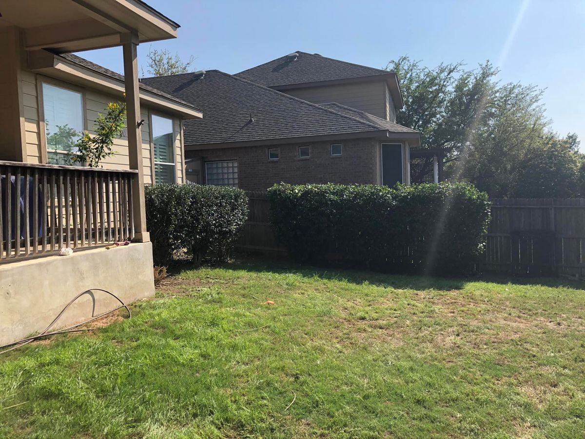 Shrub Trimming for Neighborhood Lawn Care and Tree Service  in San Antonio, TX