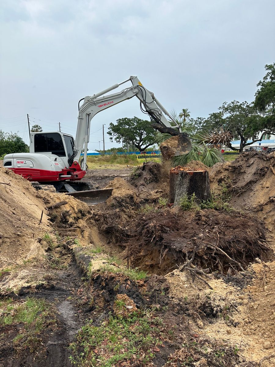 Land Clearing for POZ Property Solutions in Tampa, FL