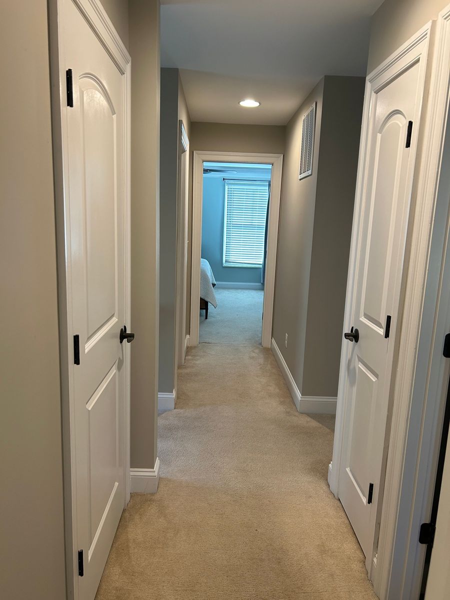 Other Painting Services for DLP Painting Services in Charlottesville, VA