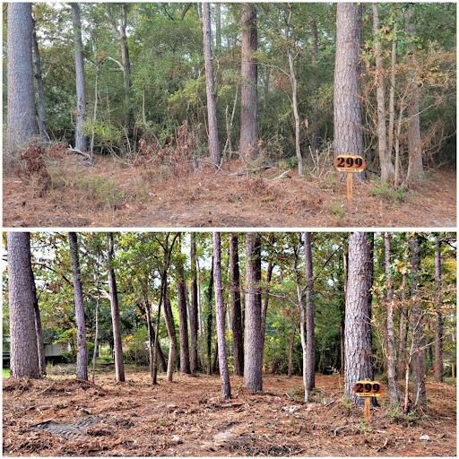 Bush Hogging for JT’s Landscaping in Tyler County, TX