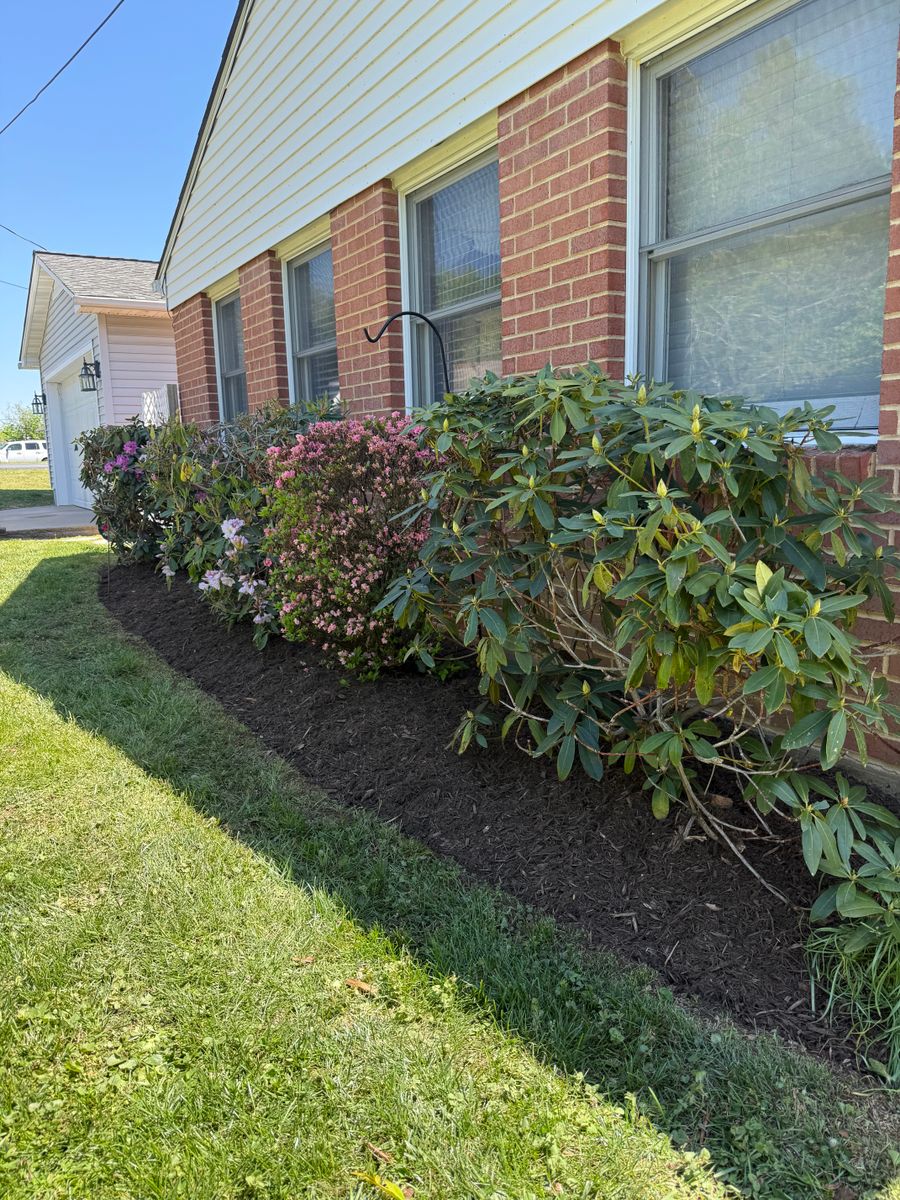 Mulch Installation for Chiles Lawn & Landscaping in Gordonsville, VA
