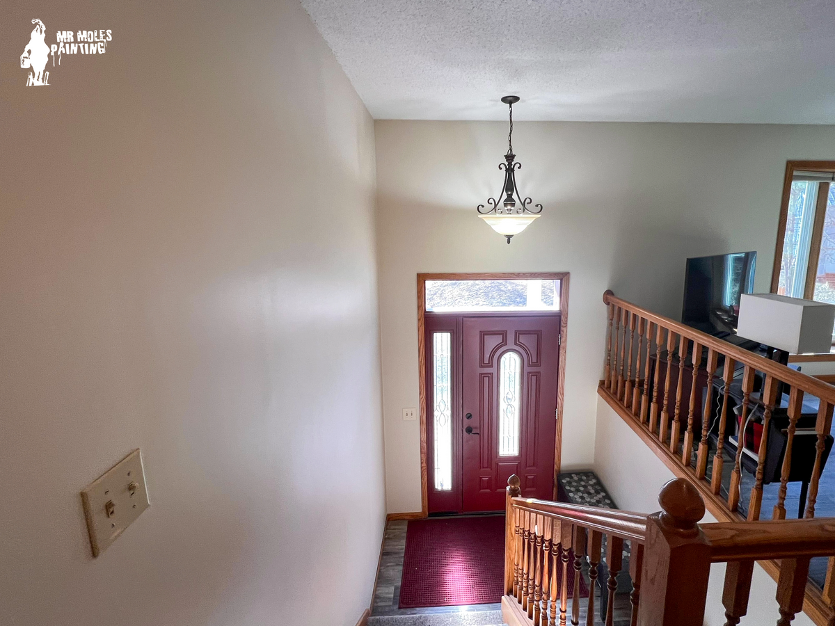 Interior Painting for Mr. Mole's Painting in Bemidji, MN