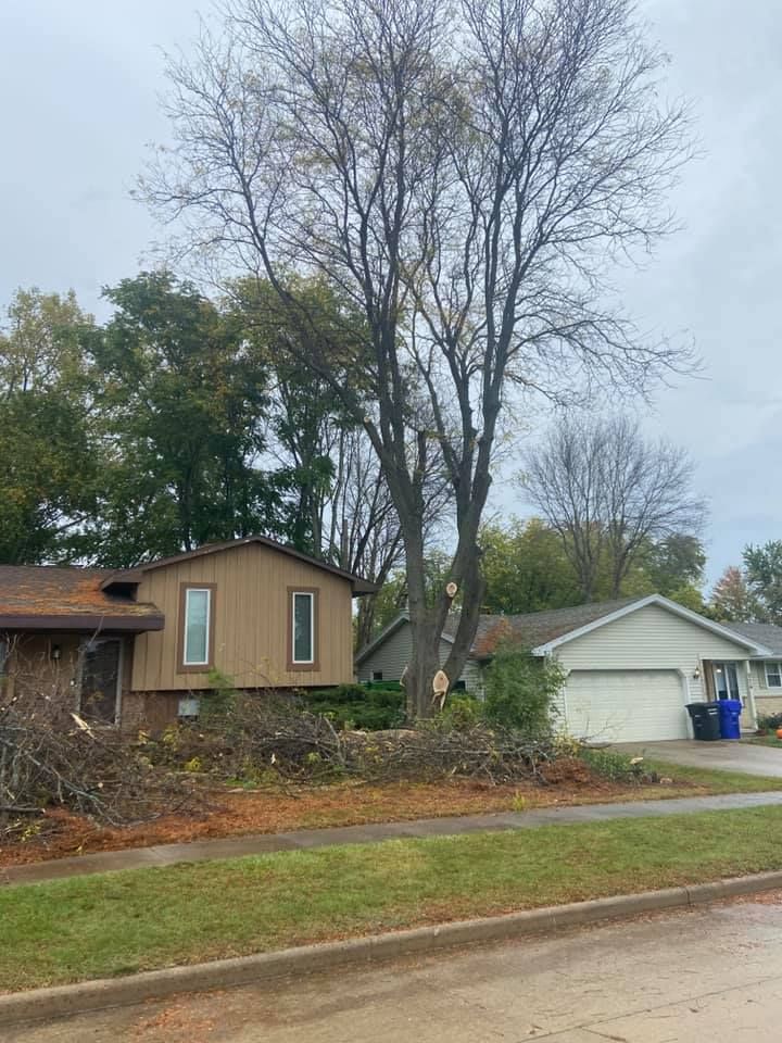 Tree Trimming for Tree-B-Gone in Appleton, WI
