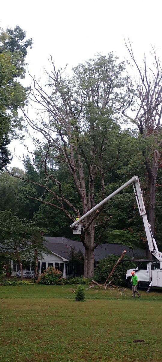 Tree Trimming for Greenskeeper Property Management in Elizabethtown, KY