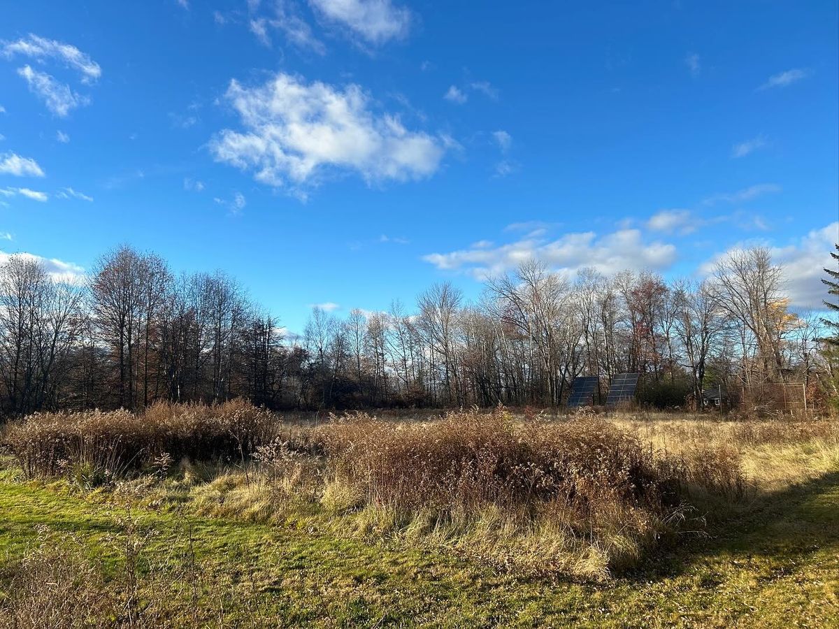 Hardscaping and Landscape Construction for Remington Construction in Suffield, CT