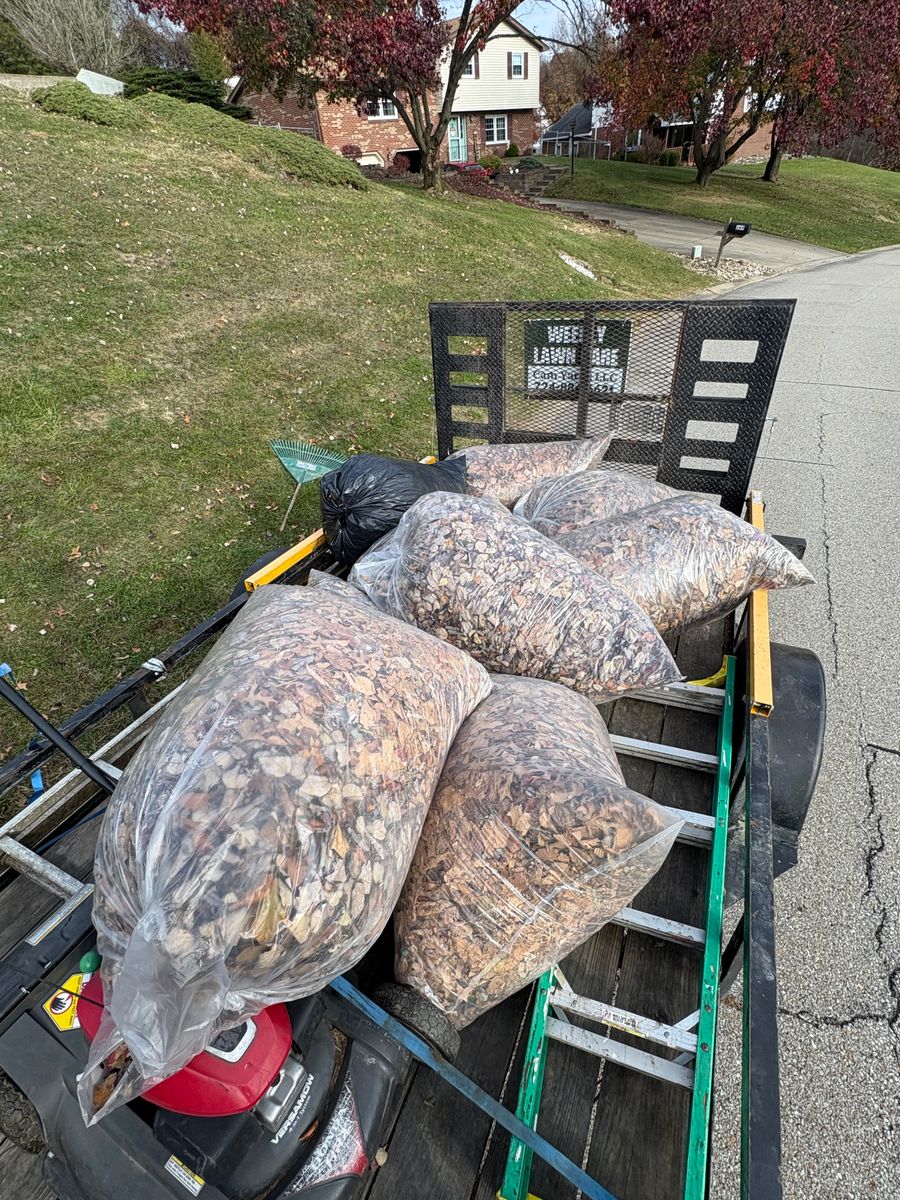 Spring & Fall Clean Up for Cam Yardz in Washington, PA