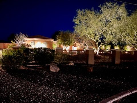 Tree & Shrub Care for Grand Canyon State Landscape Inc. in Surprise, AZ