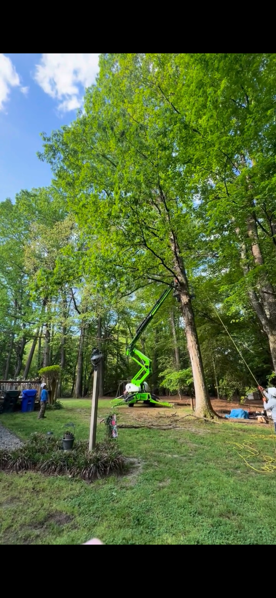 Tree Trimming for James River Tree Service in Suffolk, VA