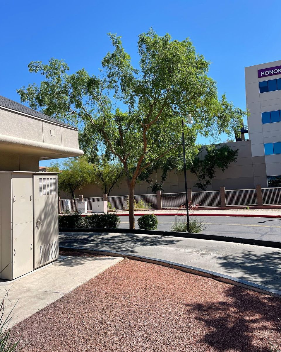 Commercial Landscaping Design and Installation for American Dream Landscape Company in Surprise, AZ