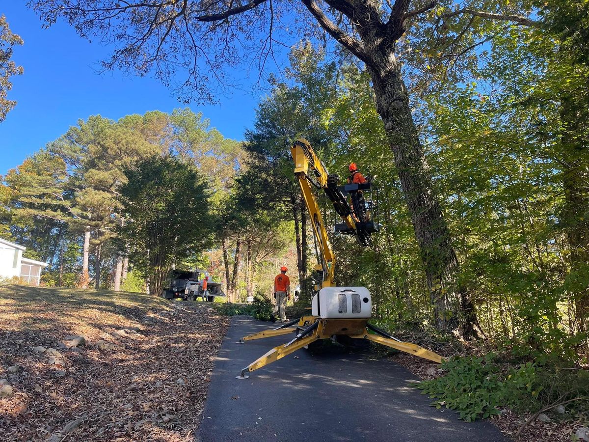 Tree Trimming for Ross Family Tree Service LLC  in Hohenwald, TN