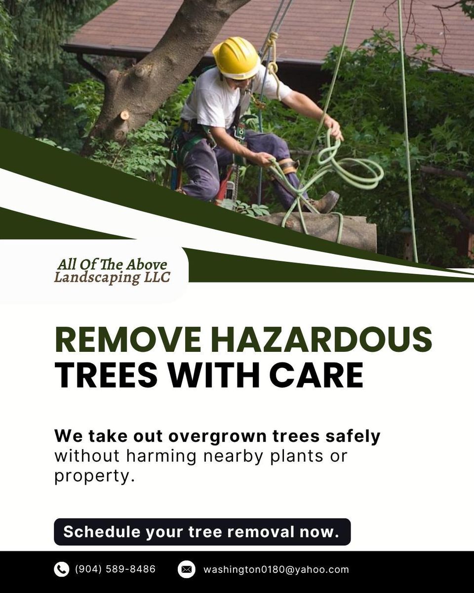 Tree Trimming & Removal for All of the Above Landscaping in Orange Park, FL
