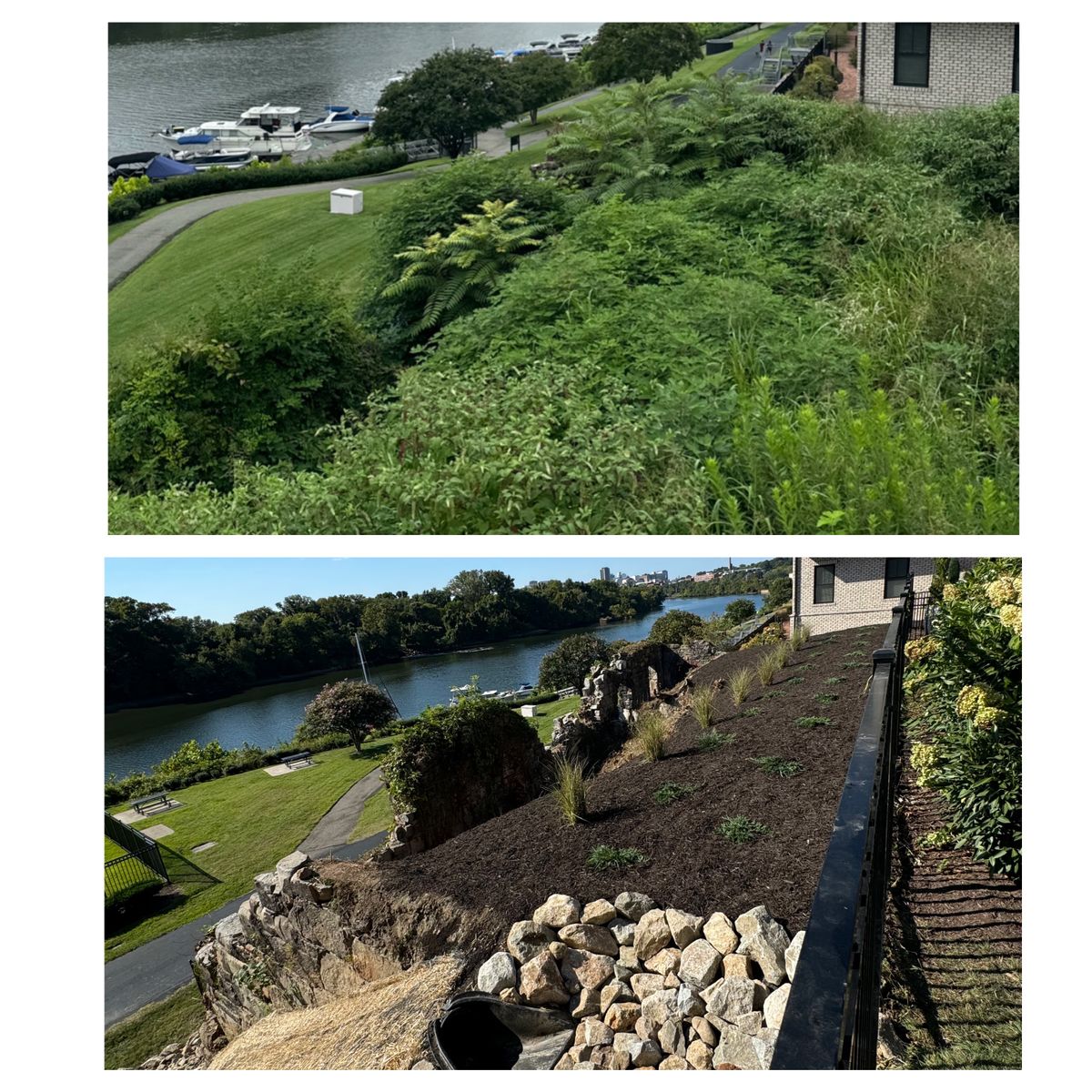 Landscape design for Branch Out Tree Care LLC in Fredericksburg, VA