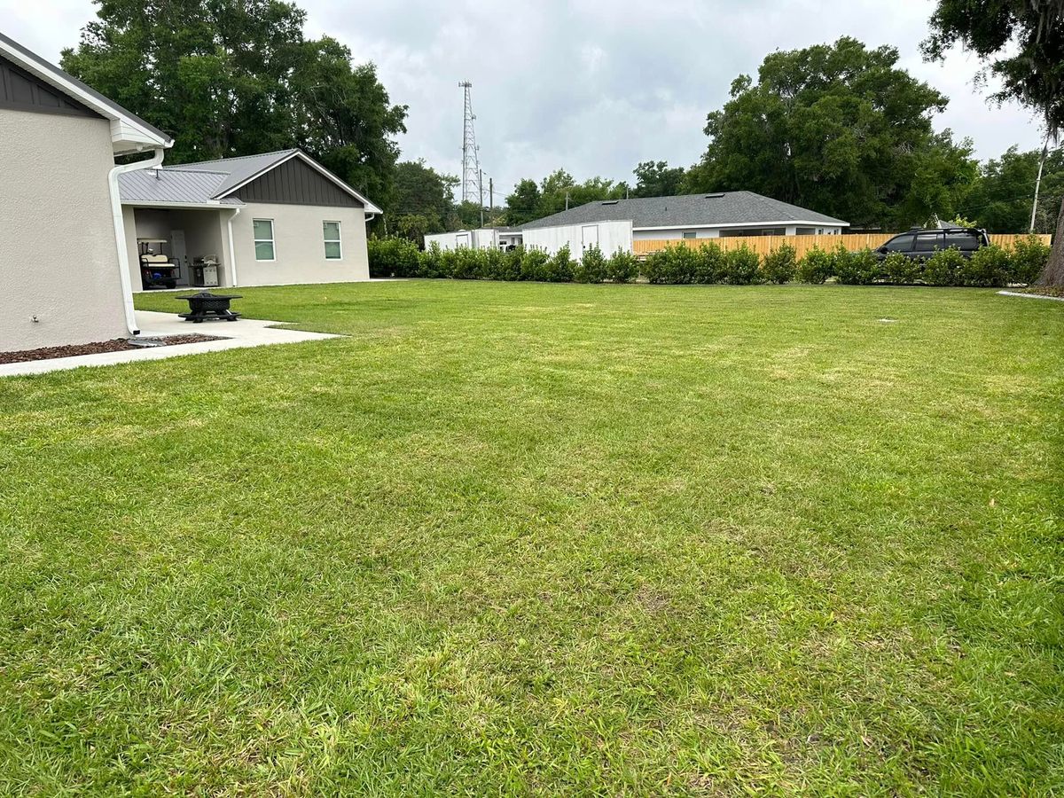 Landscaping for Native Land Management in Lakeland, FL