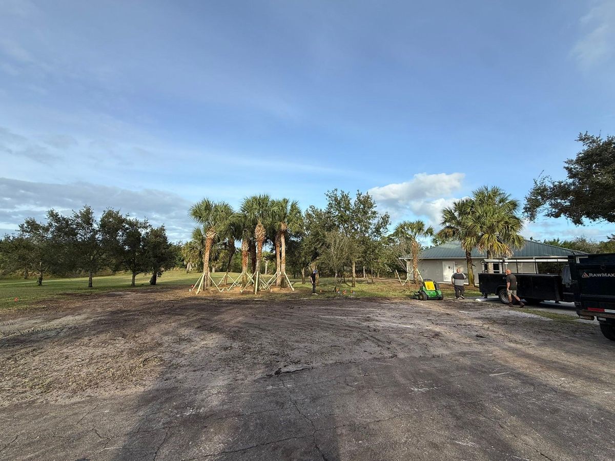 Tree Services for Cunningham's Lawn & Landscaping LLC in Daytona Beach, Florida