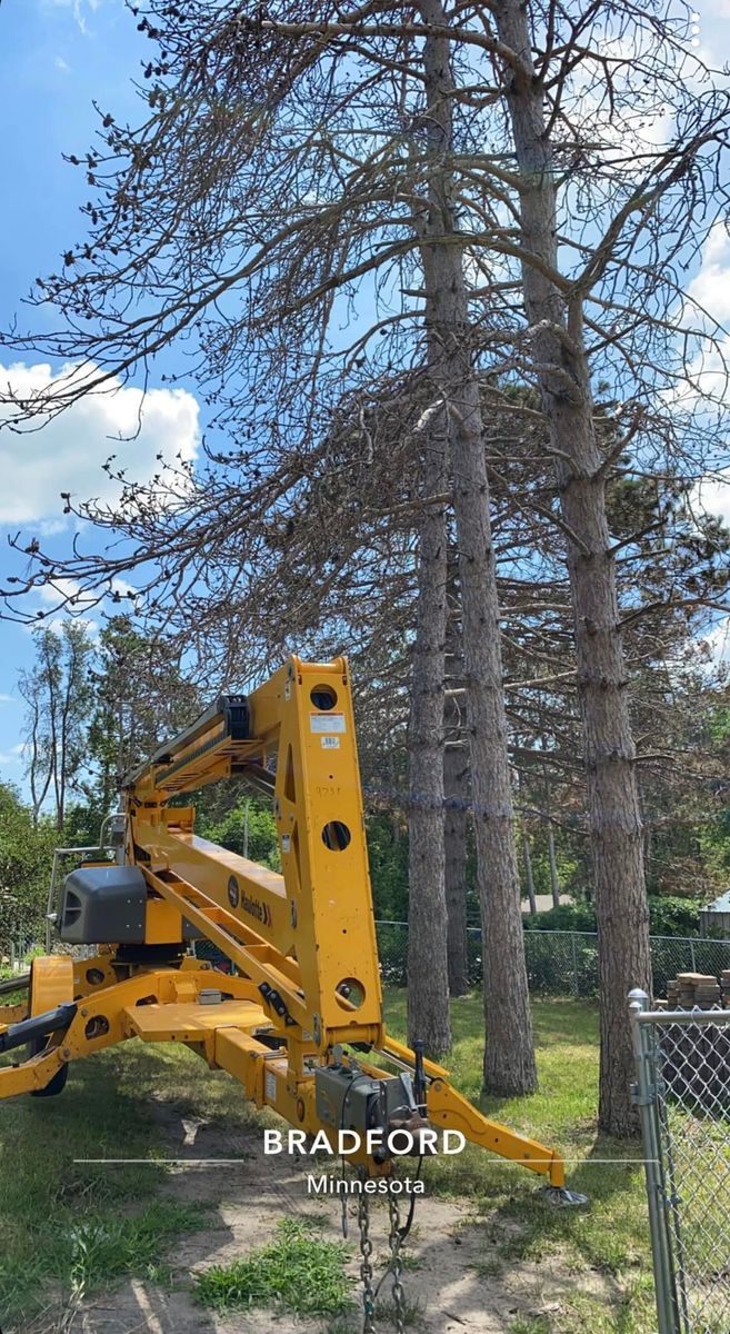 Shrub Trimming for K and Z Lawn Care in Andover, MN