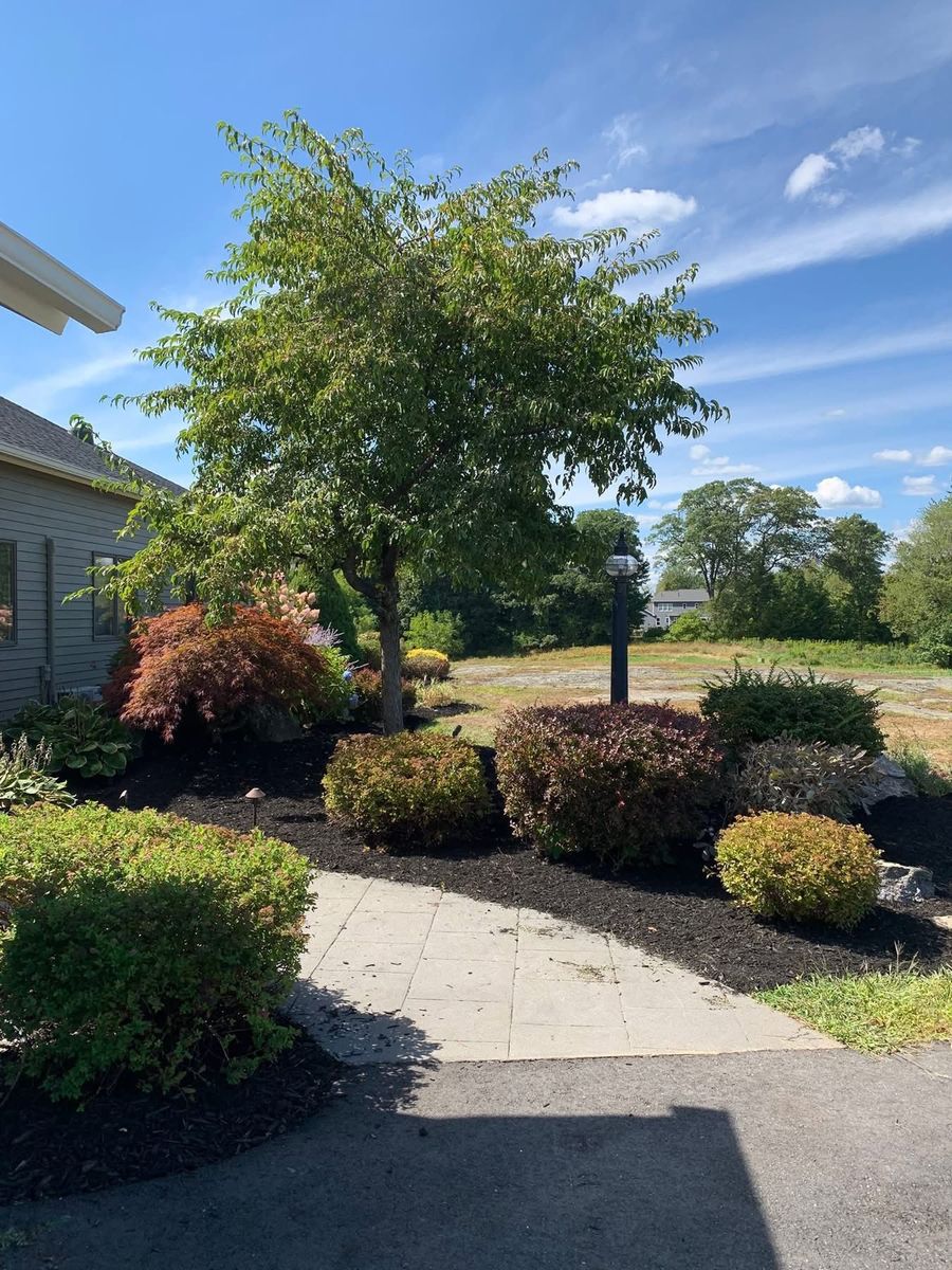 Tree & Shrub Care for Moon's Property Maintenance in Gray, ME