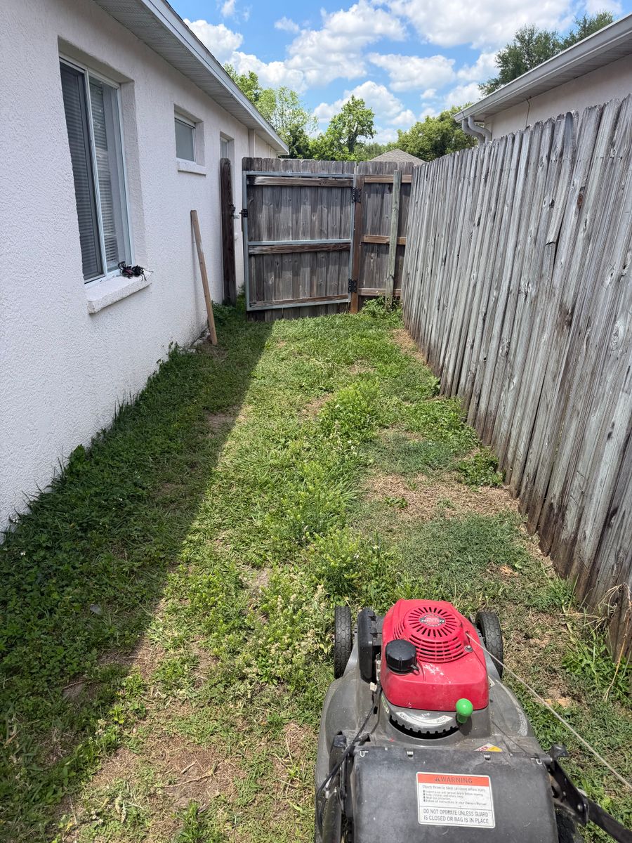 Lawn Maintenance for The Yardman in Tampa, FL