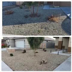 Winterizing Systems for Atmospheric Irrigation and Lighting  in Sun City, Arizona