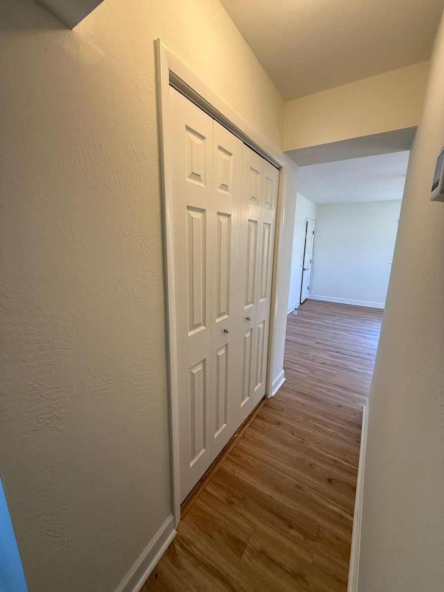 Interior Painting for Escorpio Painting in Tampa, FL