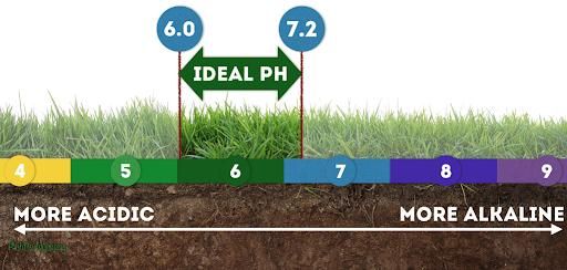 Lawn Care for Kathleen's Lawn & Shrub Care in Augusta, GA