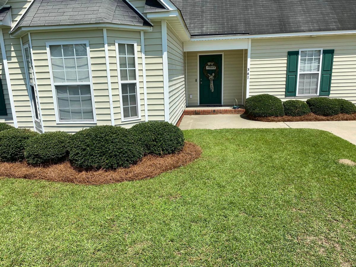 Mulch Installation for Marco's Lawn Care LLC in Greenville, NC