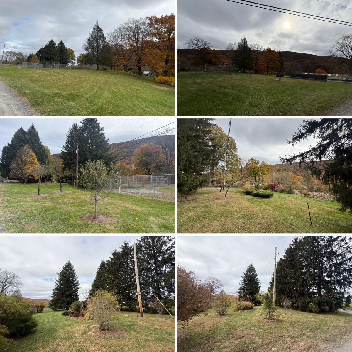 Shrub Trimming for LJ Lawn & Property Maintenance, Inc. in Cold Spring, New York