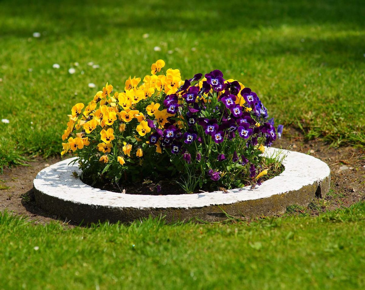 Other Lawn Services for Scalpel Lawn Service in Temple, TX