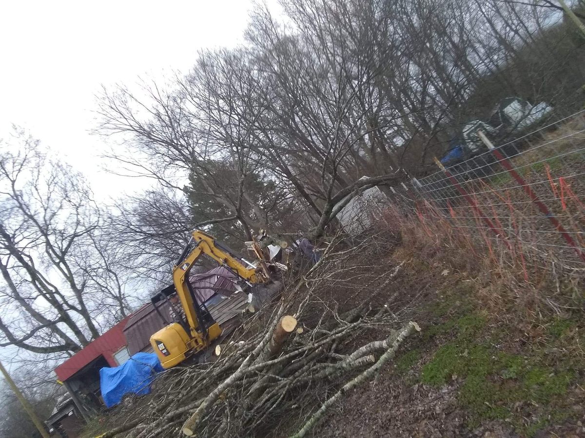 Tree Removal for Puckett's Tree Service in Decatur County, TN