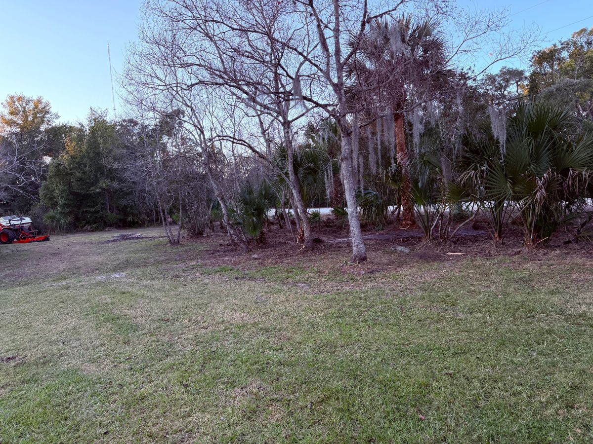 Tree Pruning for Amerigrown Tree And Lawn in Apopka, FL