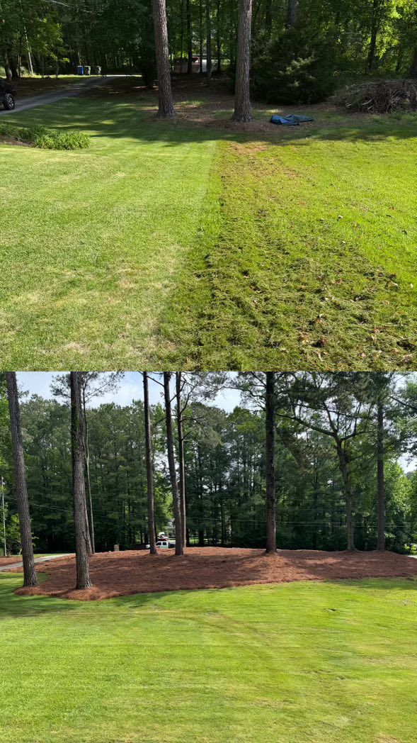 Lawn Installation for Tri-P Services in Athens, GA