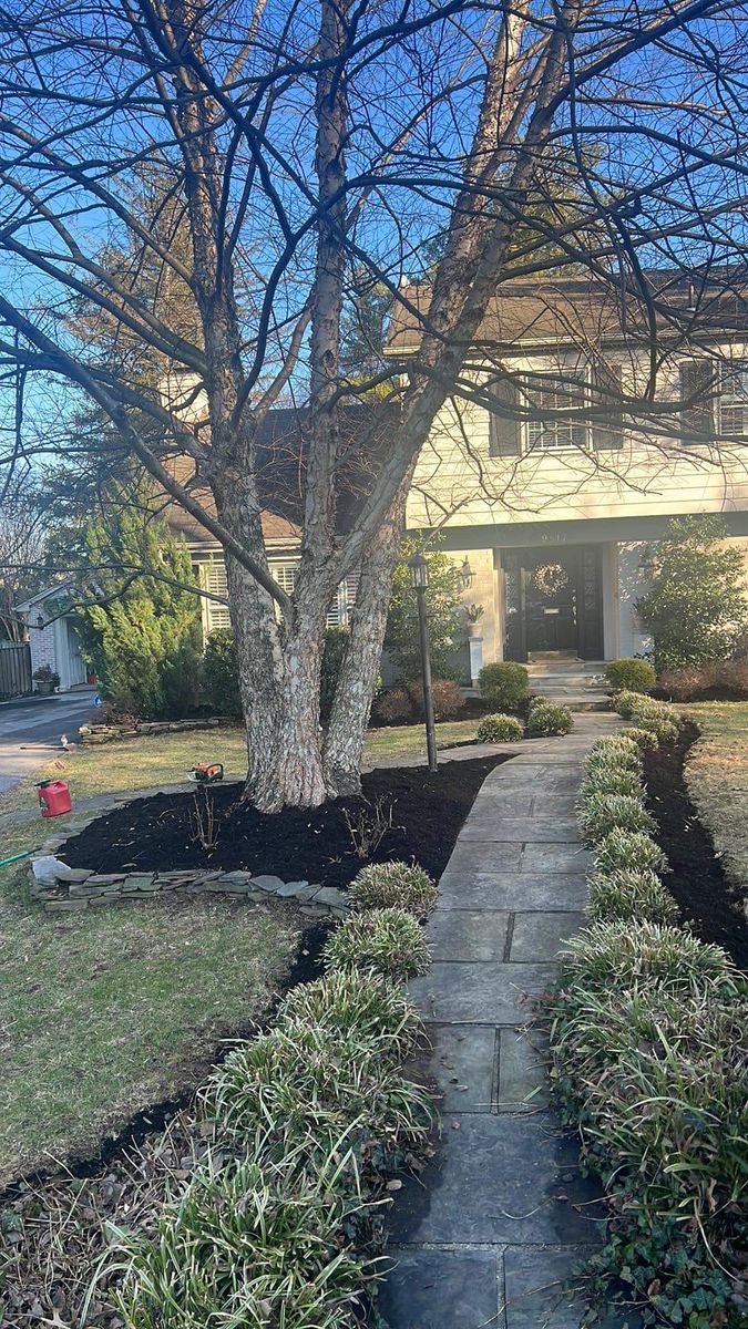 French Drains for Woody's Tree and Landscaping in Fredericksburg, VA