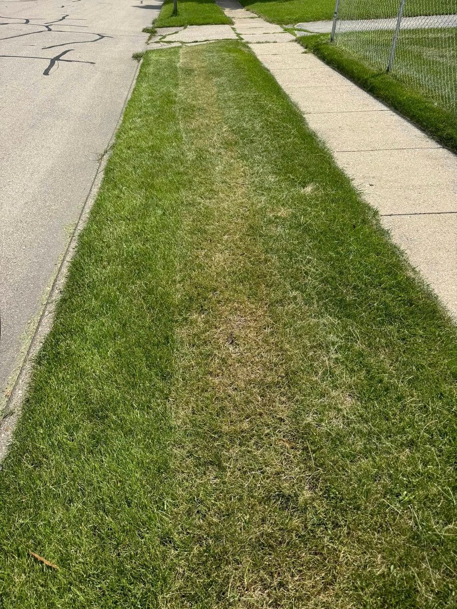 Mowing for B&G Lawn Care in Roscoe, IL