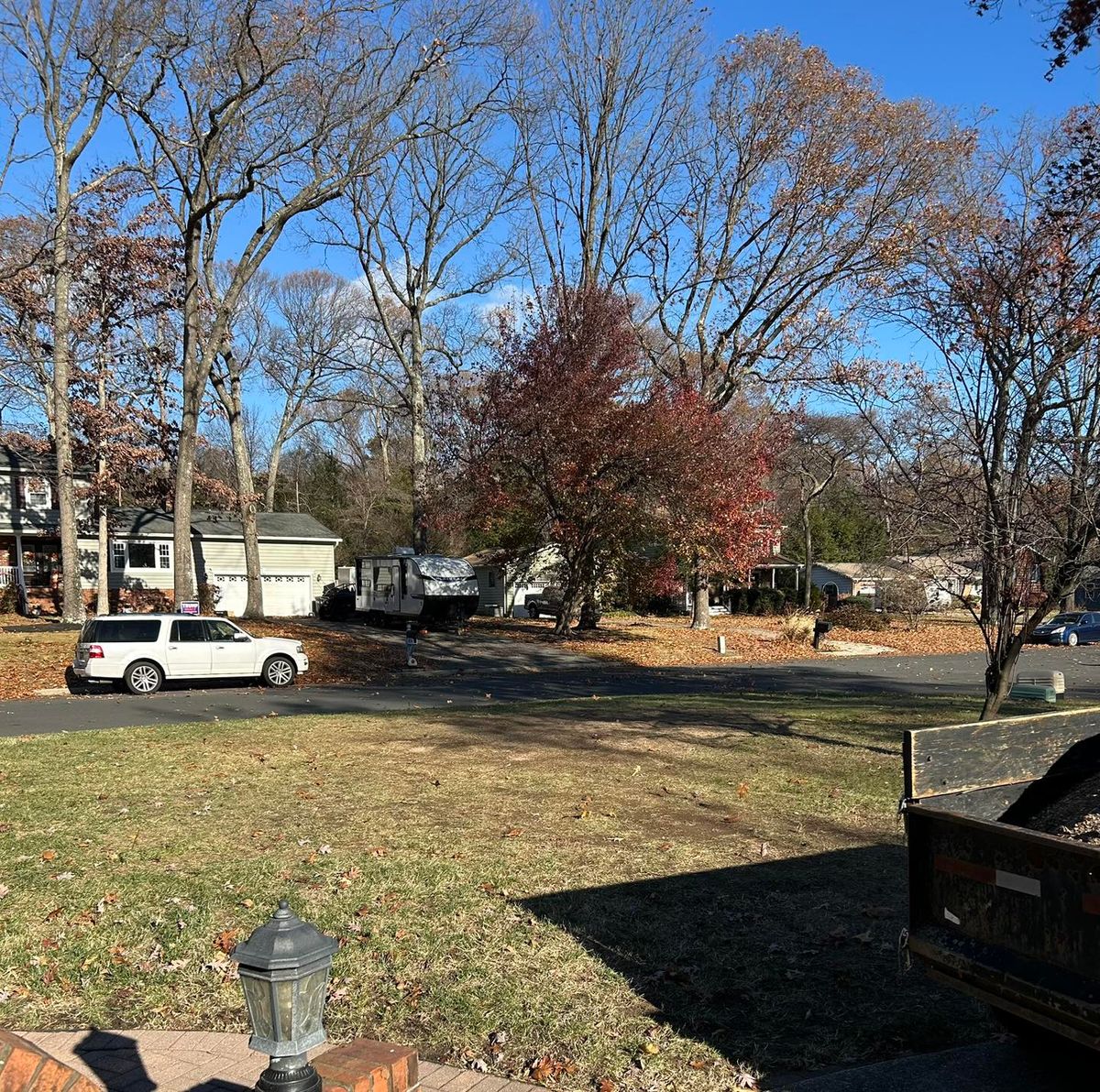 Yard Cleanup for Mad Dust Stump Grinding in Howard County, MD