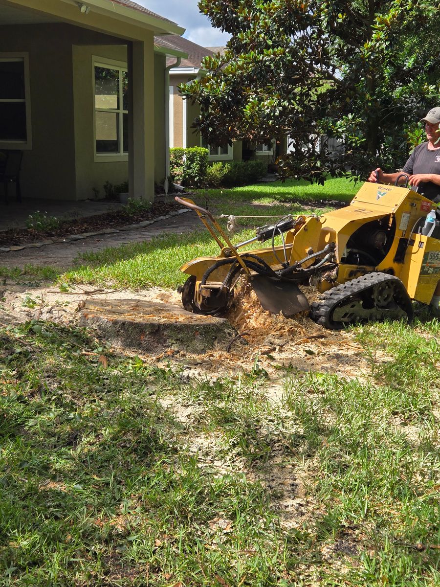 Stump Removal for Near Me Tree Service, Inc. in DeLand, FL