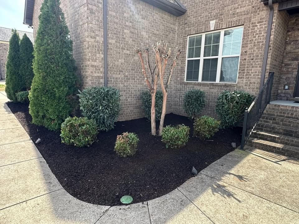 Tree & Shrub Care for Top Notch Tennessee Outdoor Services in Murfreesboro, TN