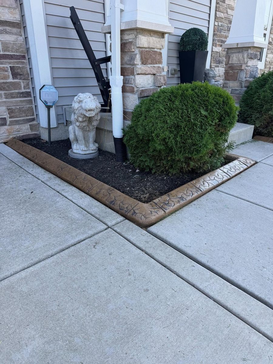 Tree & Shrub Care for Boots Borders in Westville, IN