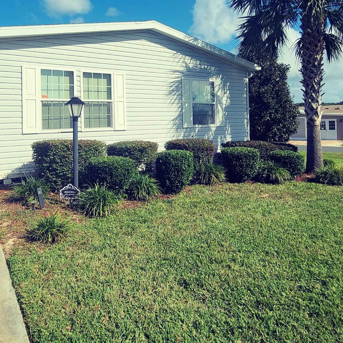 Shrub Bush and Ornamental Tree Trimming for TopNotch Landscaping Services  in The Villages, FL