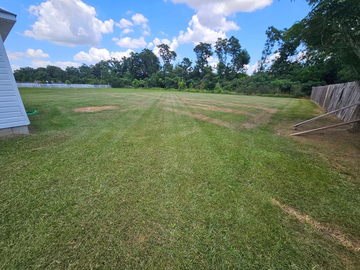 Lawn Services for Southern Shade Property Services in Ray City, GA