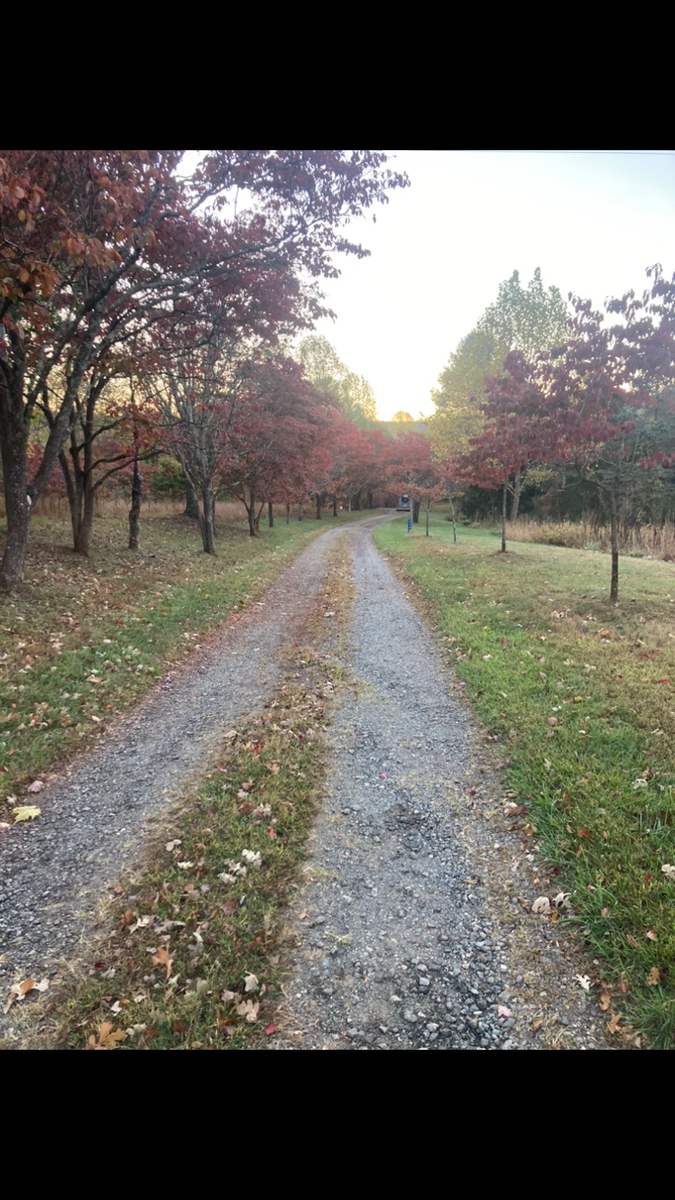 Landscaping for 9999 Building and Renovation LLC in Warrenton, VA