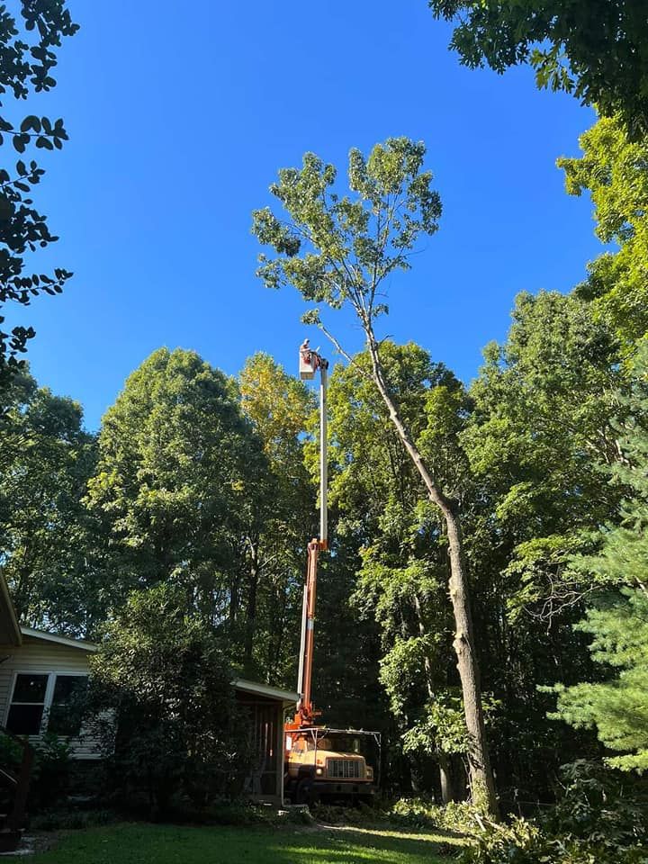 Tree Experts for Scott's Tree Service in Athens, TN