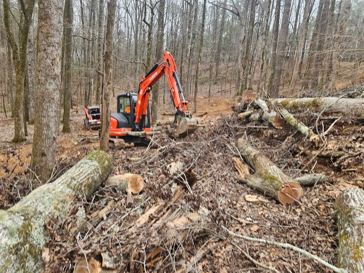 Tree & Debris Removal for Jason Scott Grading & Clearing in Williamson, GA