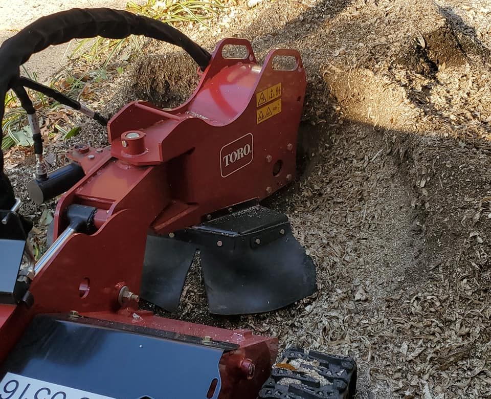 Stump Removal for W D Giampa Lawns and Landscape Inc. in Manassas, VA