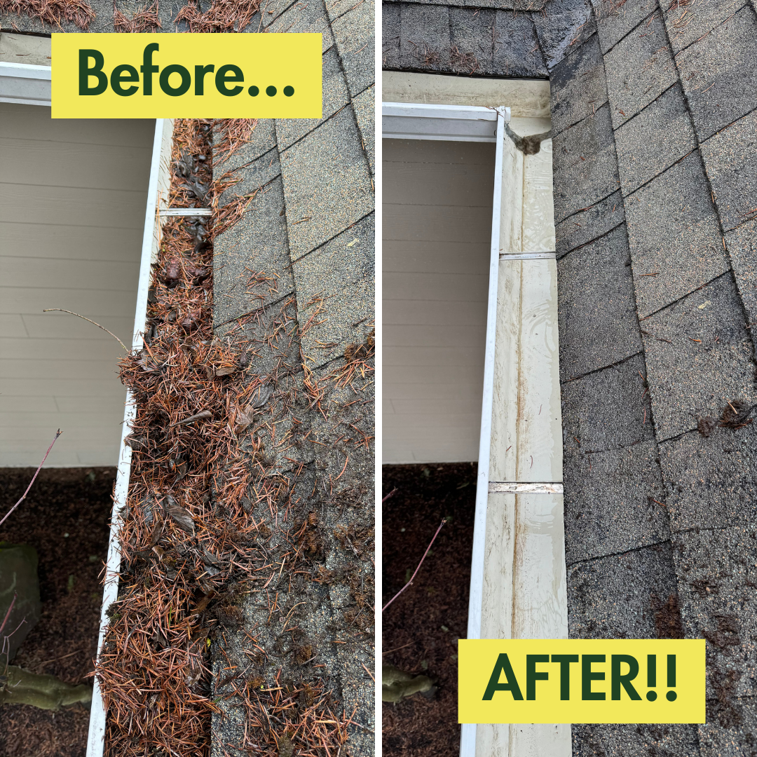 Gutter Cleaning and Maintenance for Swift Serve in Coeur d'Alene, ID