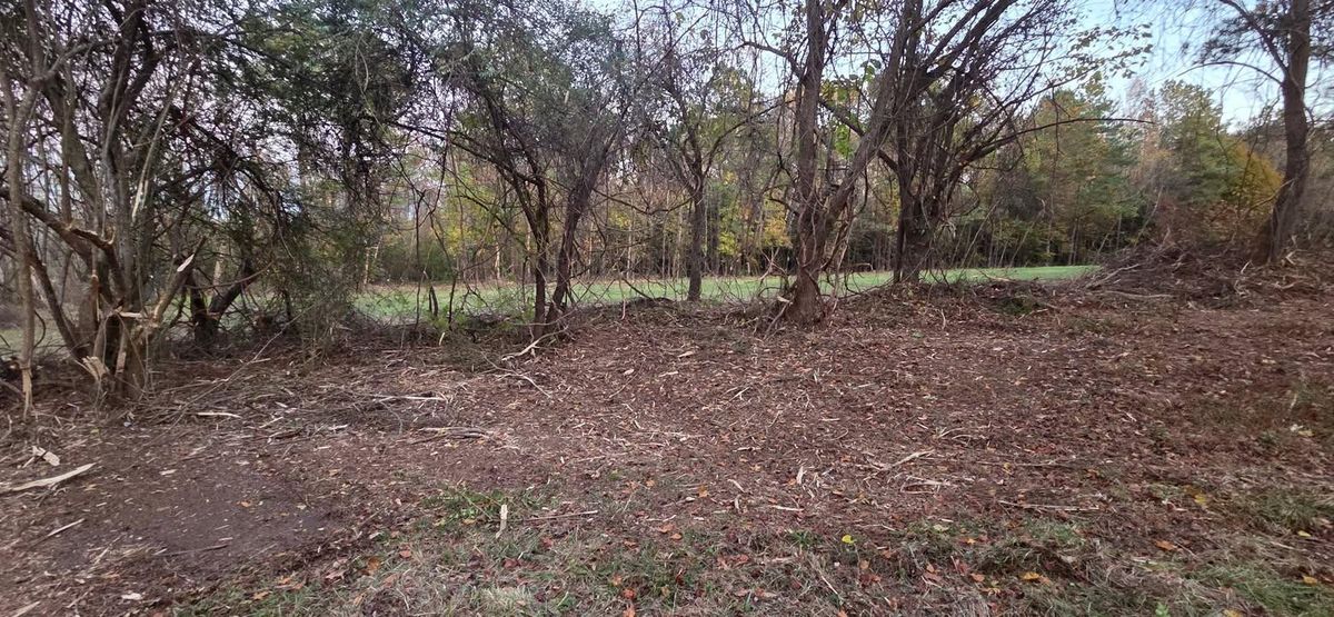 Forestry Mulching for Southern Stronghold Earthworks in Benson, NC