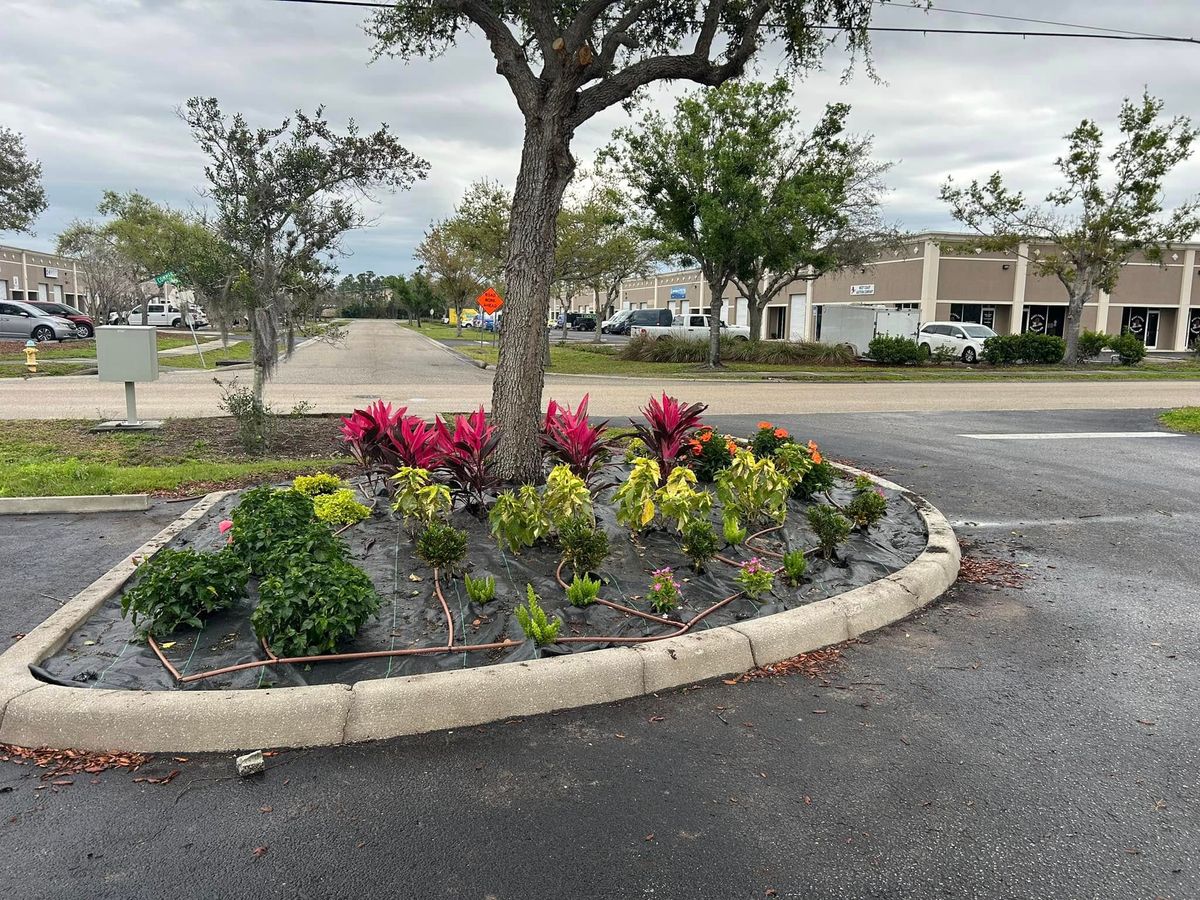 Irrigation System Design & Install for DelliQuadri Landscapes LLC in North Port, FL