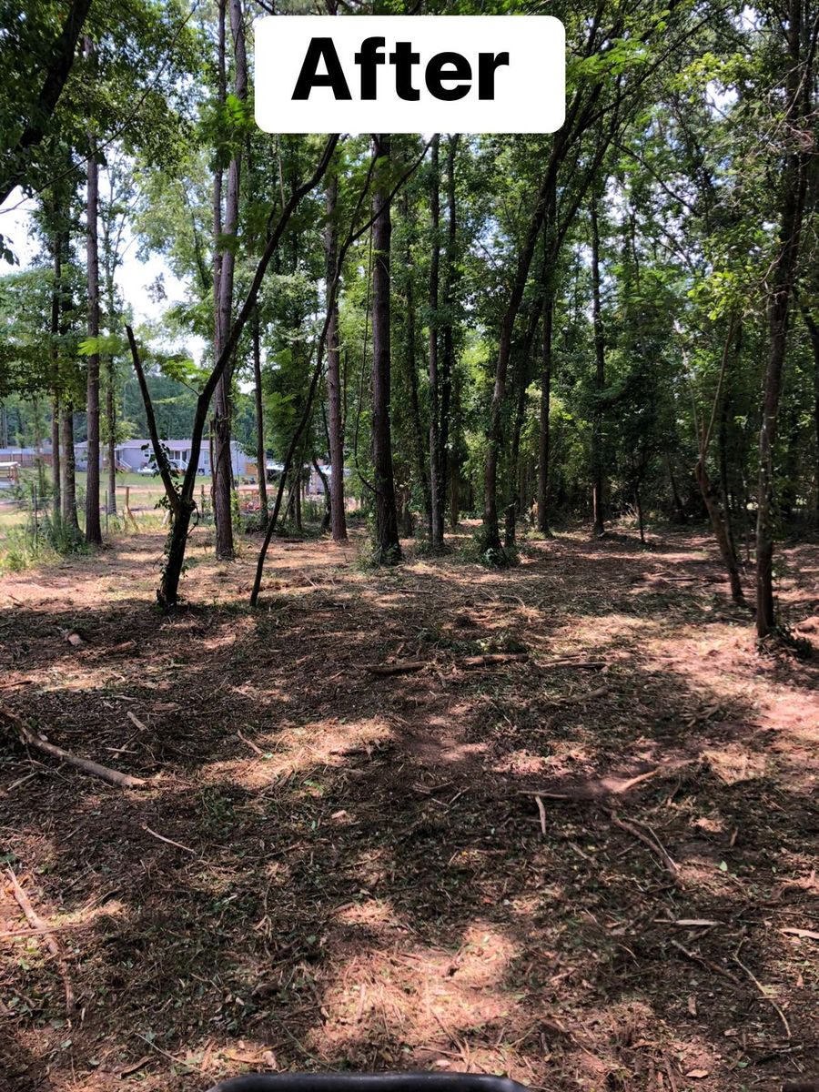 Land Clearing for Outdoor Creations O&S LLC in Smith Station, AL