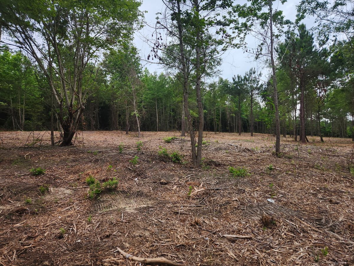 Land Clearing for 903 Mulching in East Mountain, TX