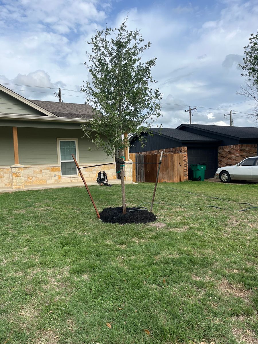 Mulch Installation for Piña’s Lawncare in Limestone County, TX