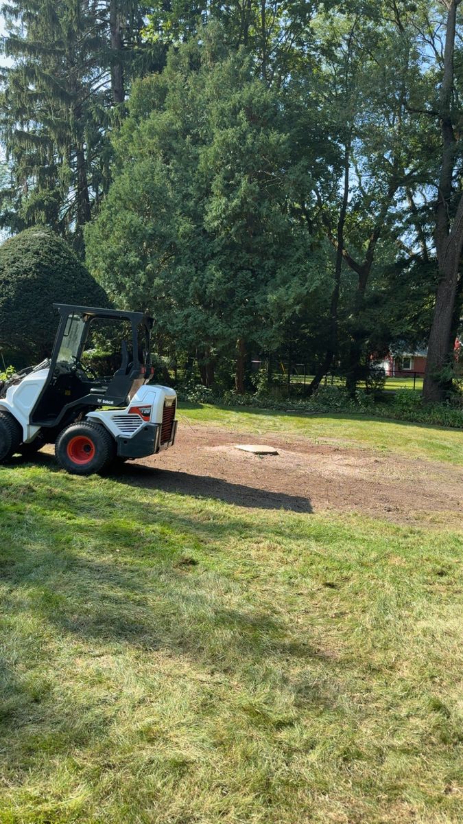 Tree Removal for Fransen's Tree Service  in Freeport, IL